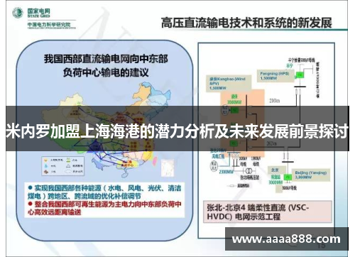 米内罗加盟上海海港的潜力分析及未来发展前景探讨