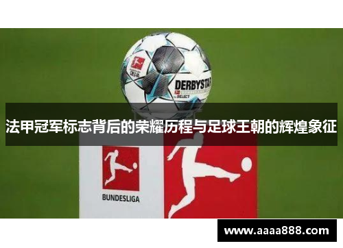 法甲冠军标志背后的荣耀历程与足球王朝的辉煌象征